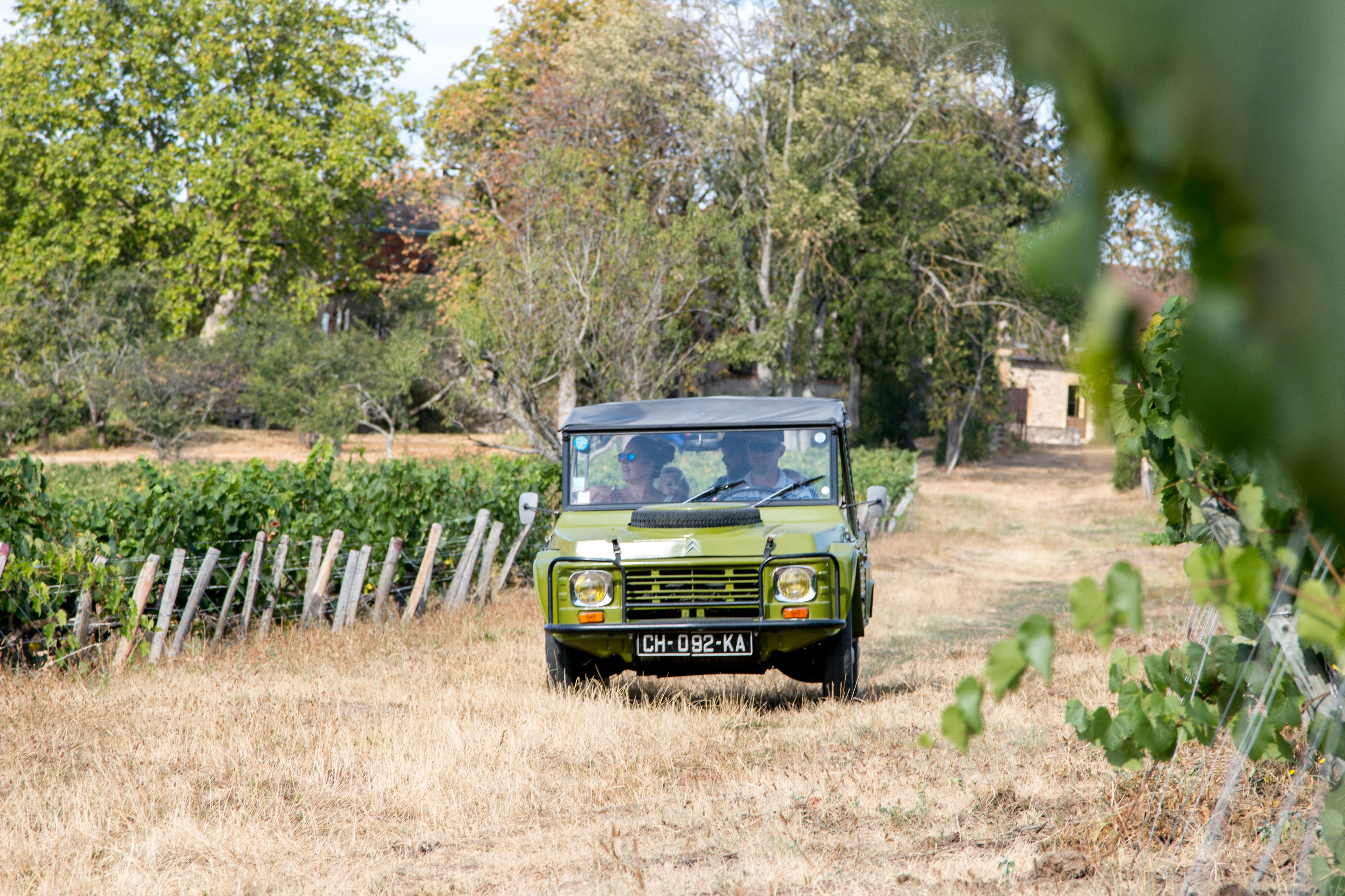 Visite du vignoble en vieille voiture