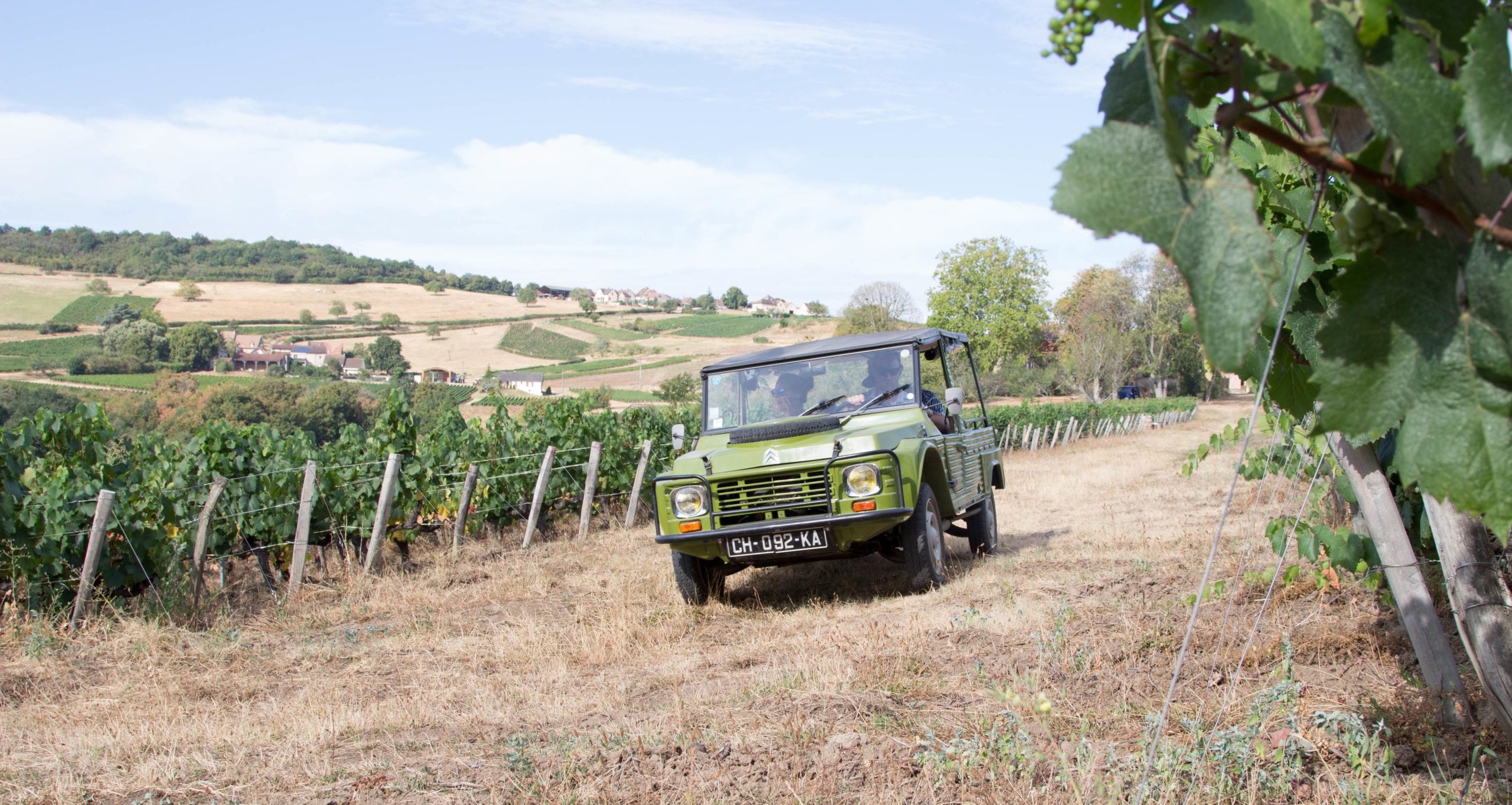 Venez... visiter Notre Vignoble à bord de notre Citroën mythique !