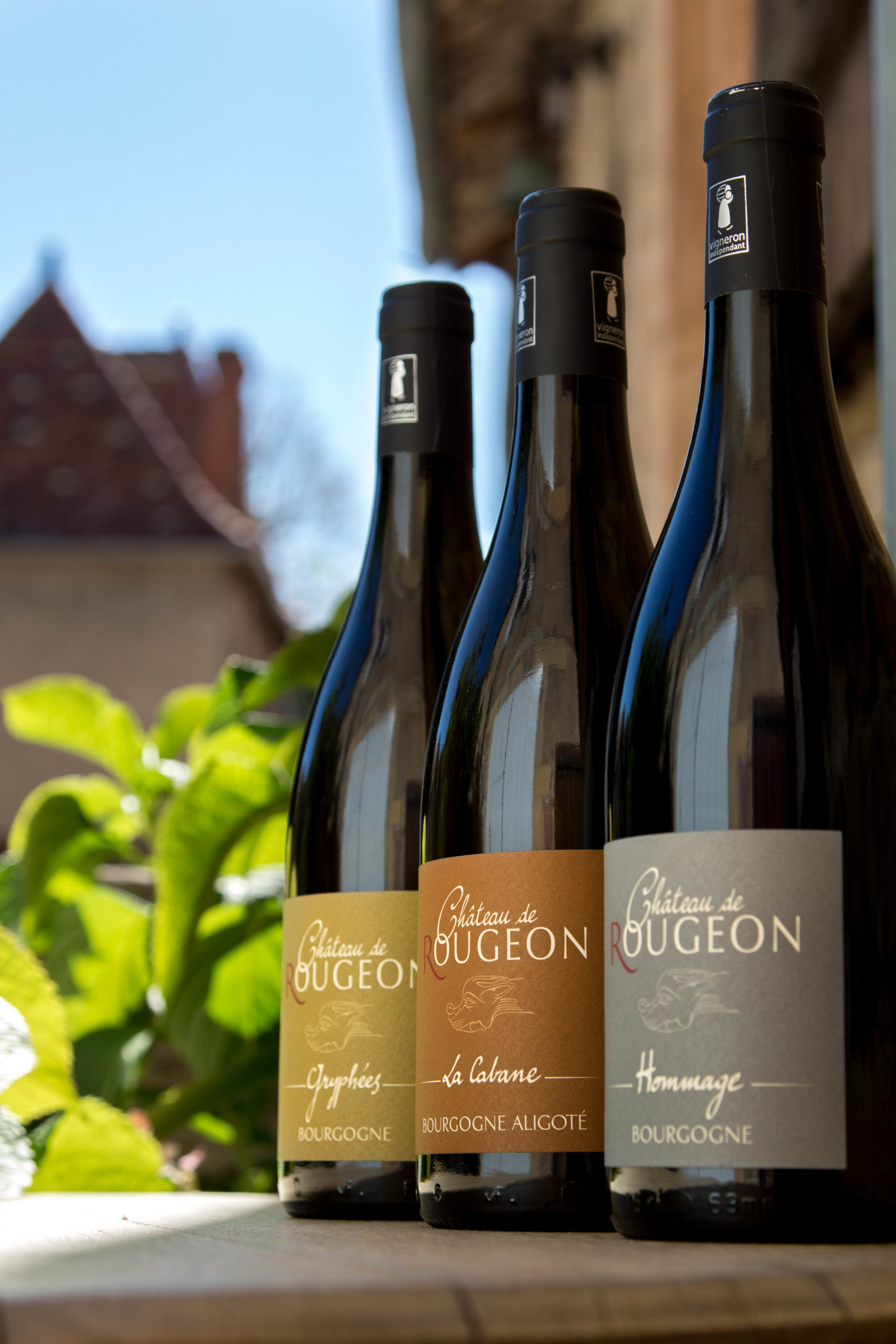 Authentic wines marked with the imprint of each Terroir