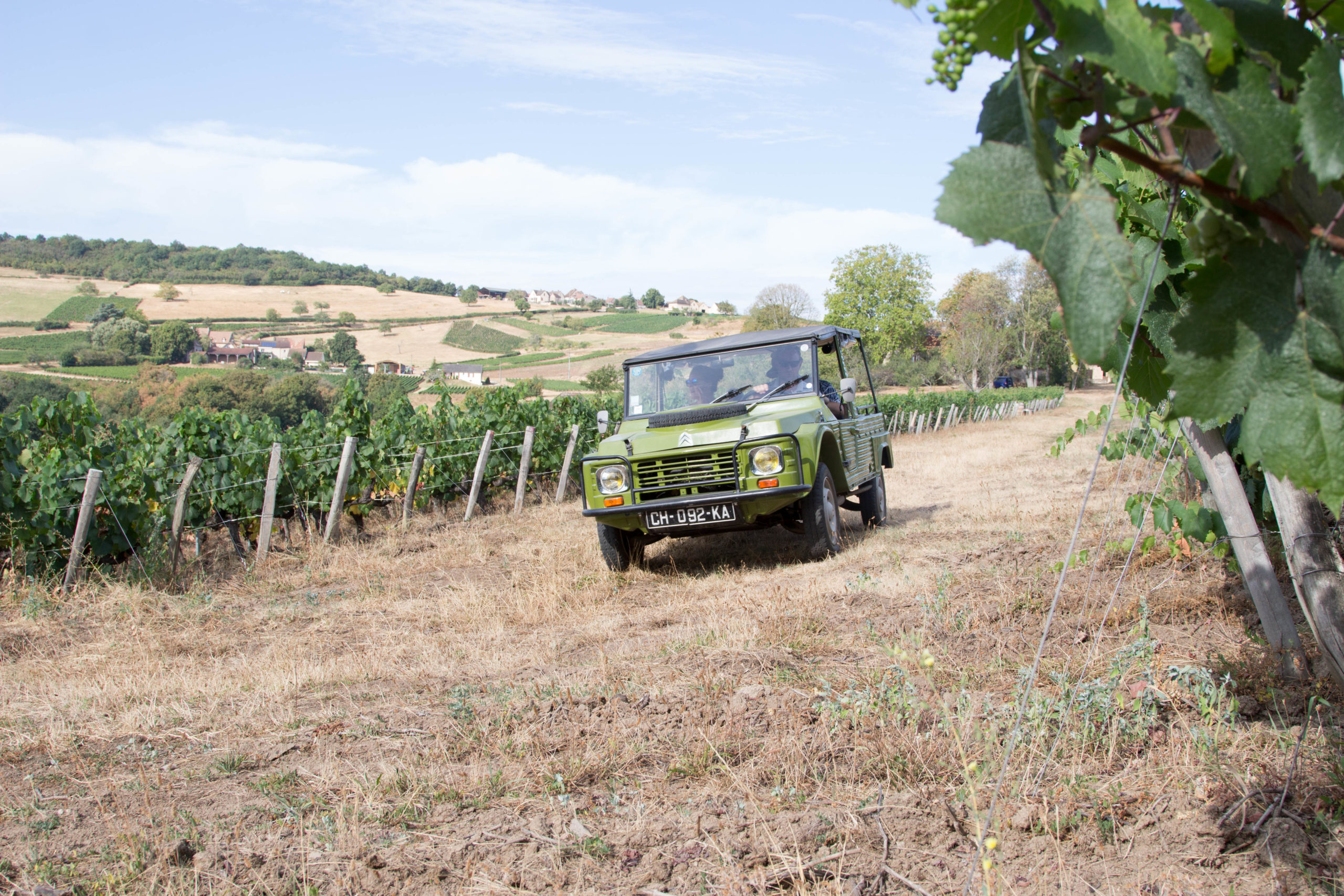 Come… visit our vineyard aboard our legendary Citroën!